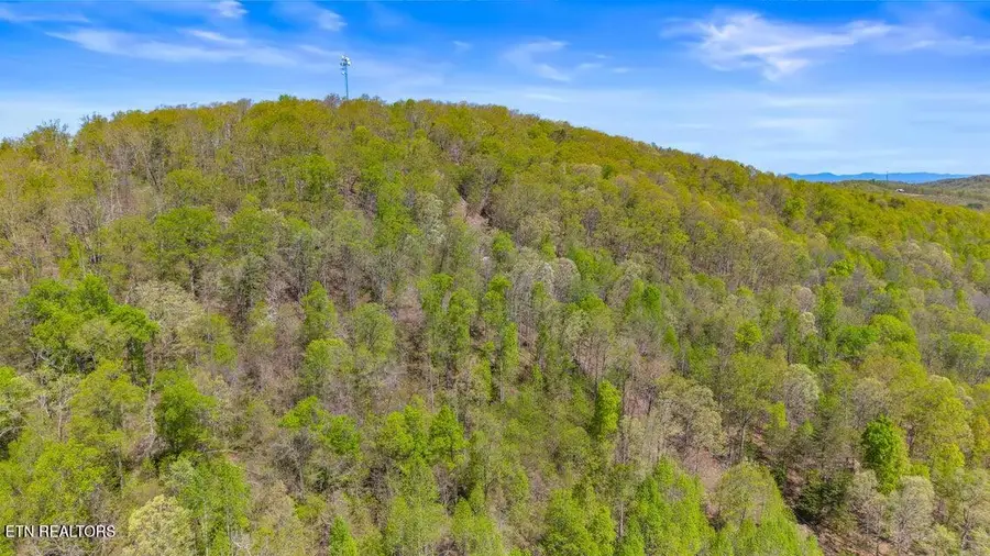 00 Dog Town Rd, Ten Mile, TN 37880 - #2