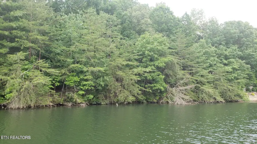 106 Chatham Ln, Fairfield Glade, TN 38558 - #3