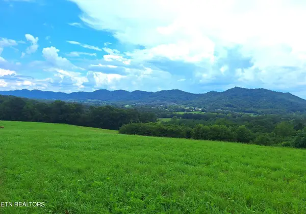 305 Race Track Rd, Rogersville, TN 37857