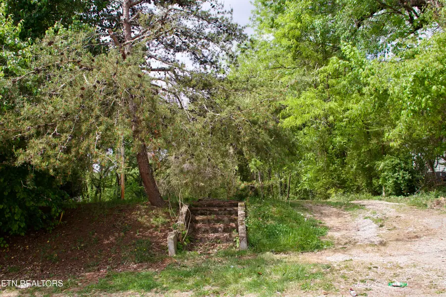 141 Nevada Ave, La Follette, TN 37766 - #2