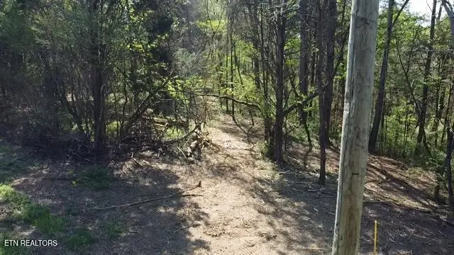 Short Bark Rd. (10 Ac), Madisonville, TN 37354 - #2