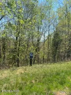 Lot 548 Marble Point Way, New Tazewell, TN 37825