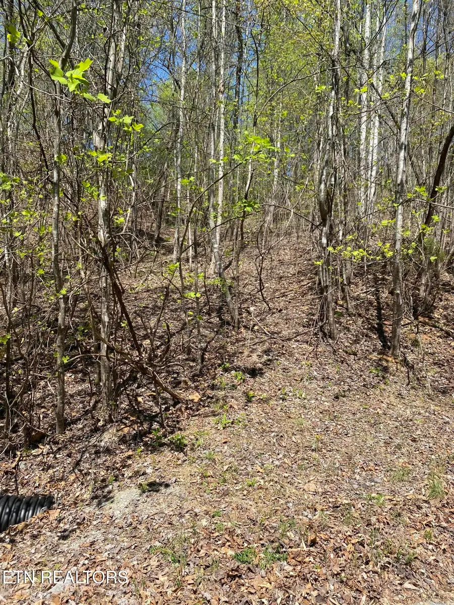 Lot 549 Garnet Tr, New Tazewell, TN 37825 - #3