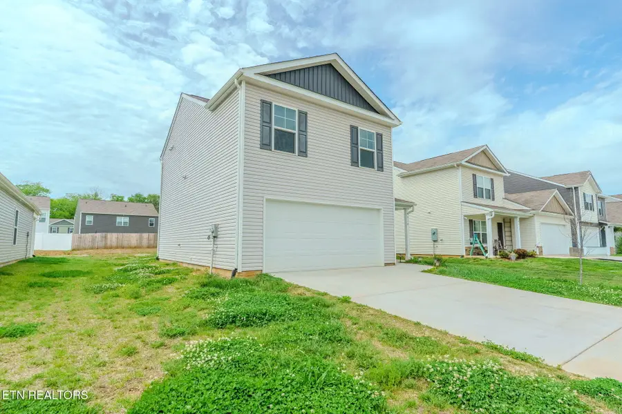 9518 River Cane Rd, Mascot, TN 37806 - #2