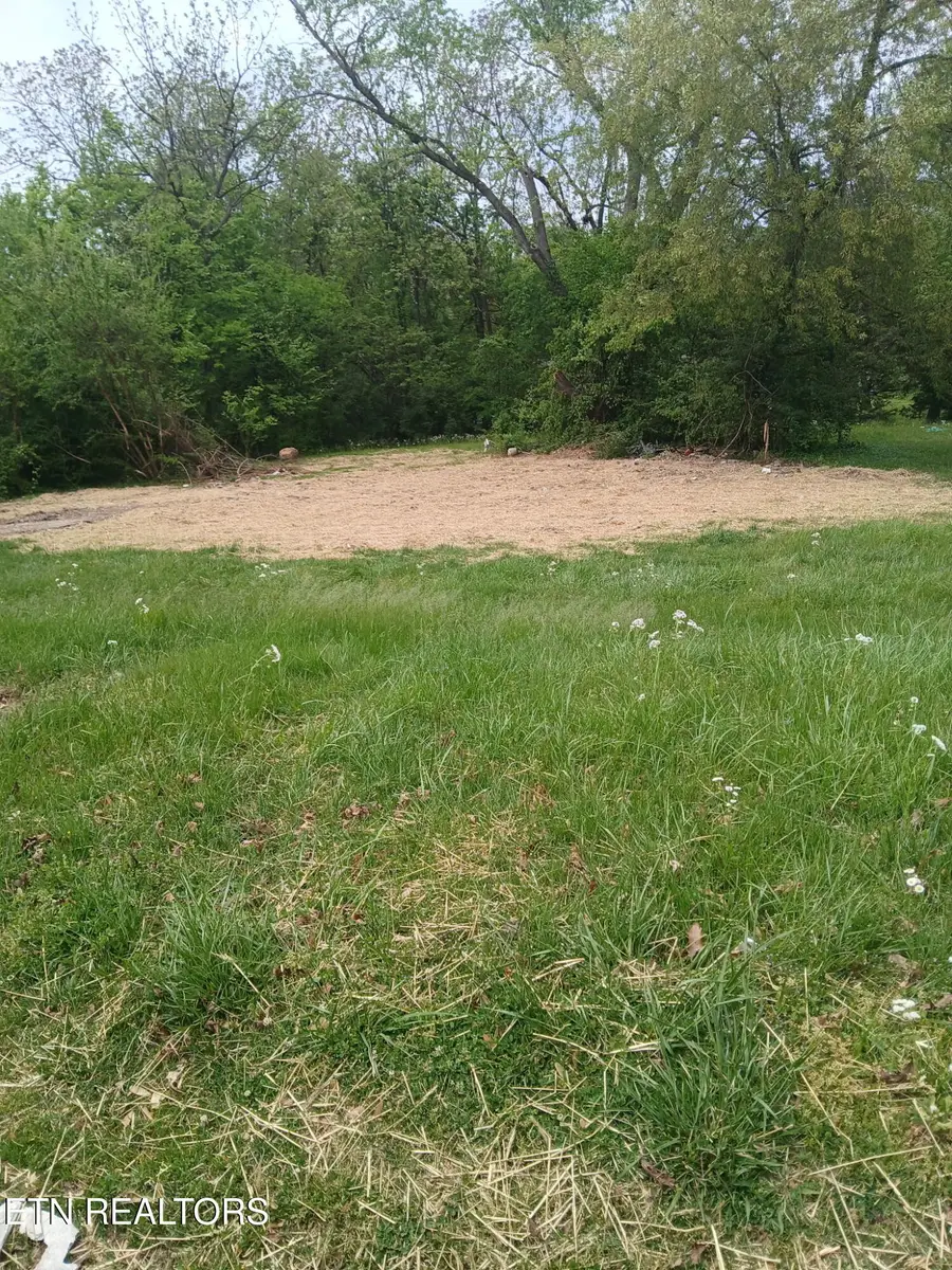 2919 Edgewood Ave, Knoxville, TN 37917 - #2