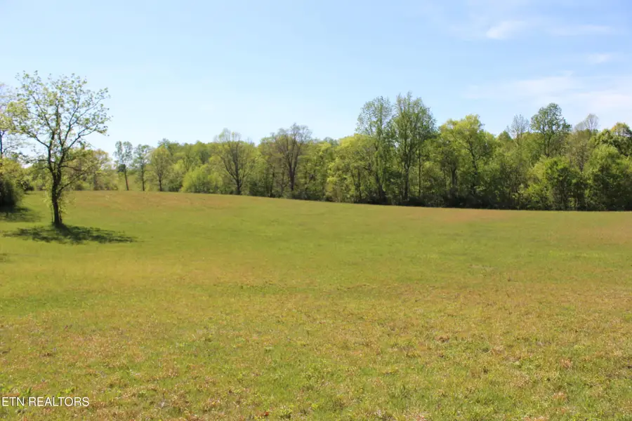 3710 Wayne Bryant Rd, Louisville, TN 37777 - #2