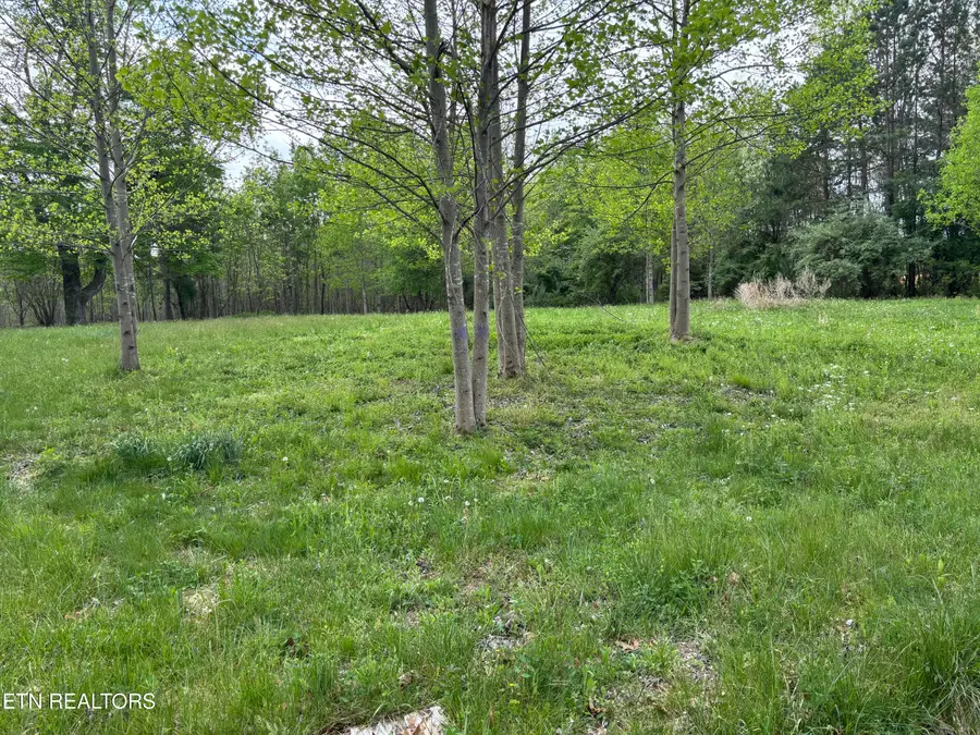 182 Nydeck Rd, Robbins, TN 37852 - #2