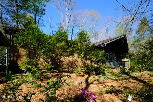 543 Reba Lane, Gatlinburg, TN 37738
