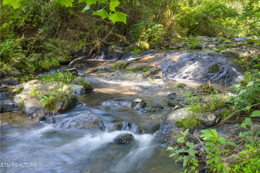 449 Carpenter Rd, Mooresburg, TN 37811 - #3