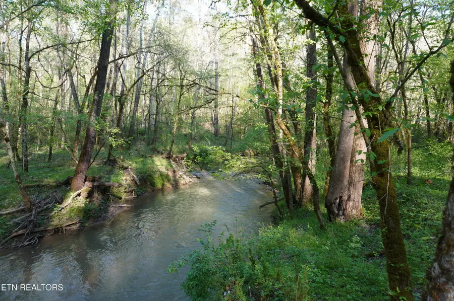 Lots 1-2 Golf Course Rd, Newport, TN 37821 - #3