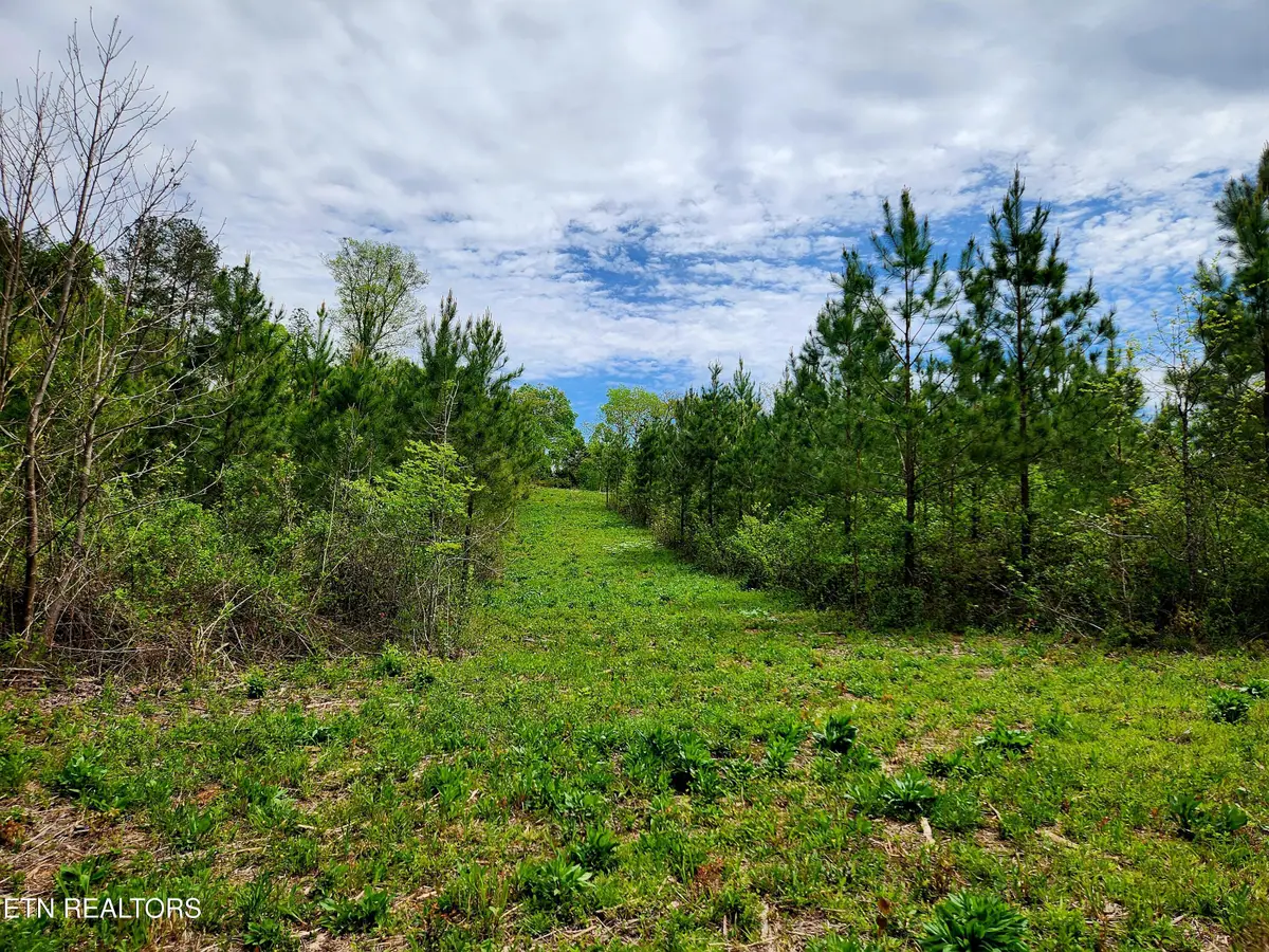 Lot 6 Winding Tr, Madisonville, TN 37354 - #1