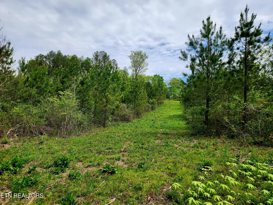 Lot 6 Winding Tr, Madisonville, TN 37354 - #2