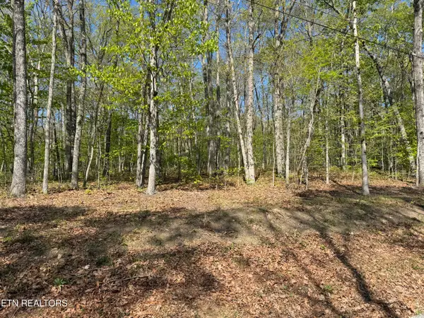 47&49 Cheshire Terrace, Crossville, TN 38558