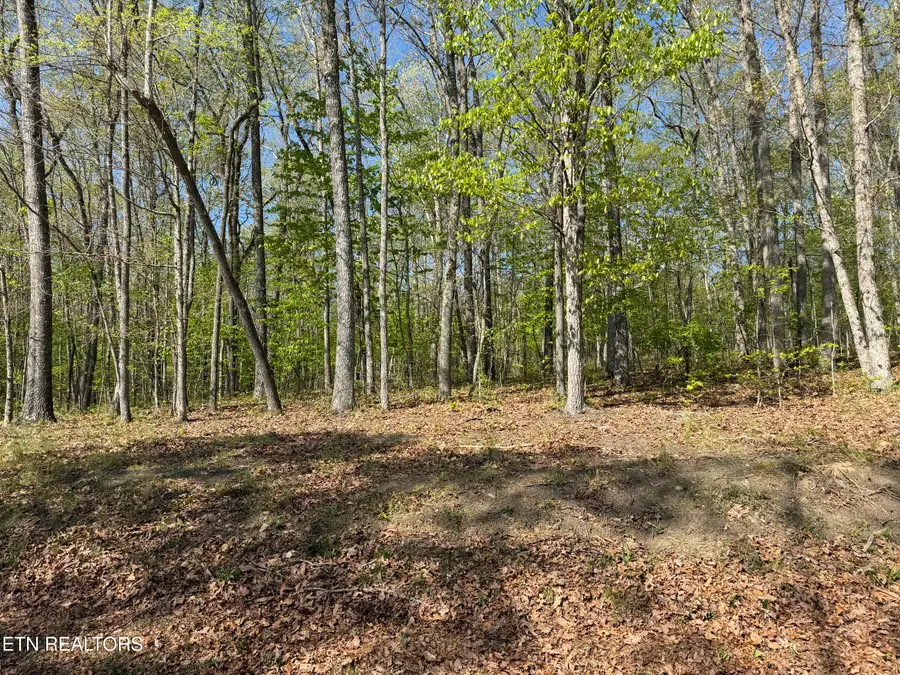 47&49 Cheshire Terrace, Crossville, TN 38558 - #3