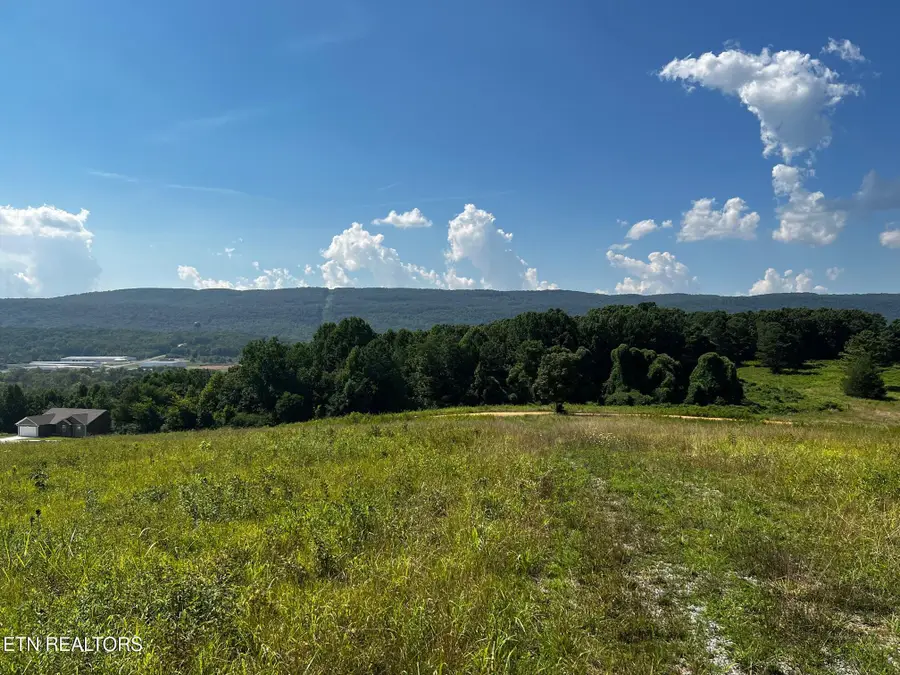 00 White Oak Rd, Dayton, TN 37321 - #3