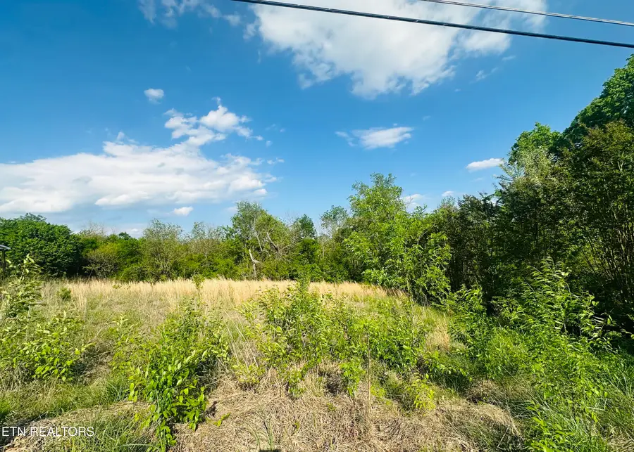 LOT #26 Ritz View Dr, Blaine, TN 37709 - #2