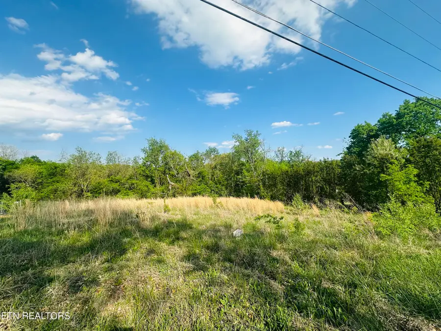 LOT #26 Ritz View Dr, Blaine, TN 37709 - #3