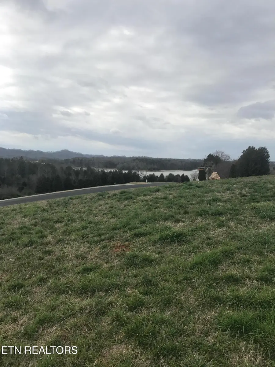 Volunteer Lane, Vonore, TN 37885 - #3