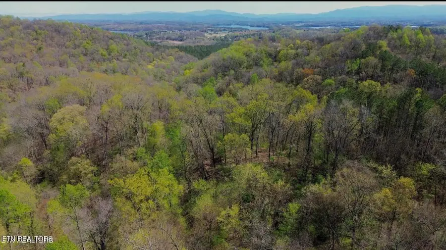 0 Knob Rd, Vonore, TN 37885 - #2