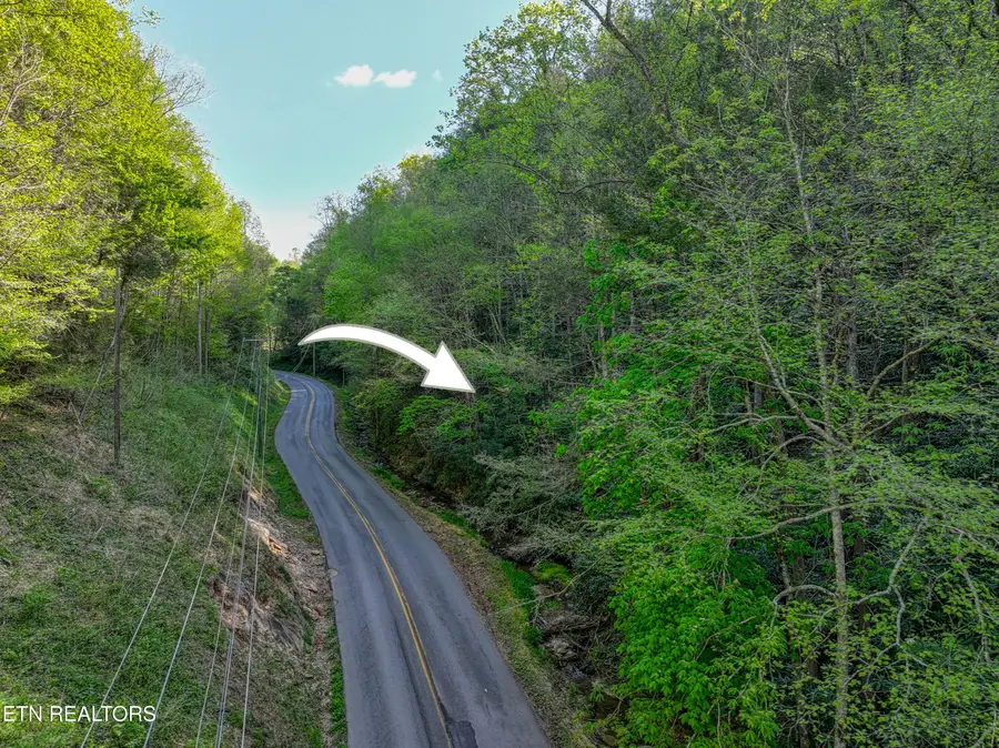 Cartertown Rd, Gatlinburg, TN 37738 - #3