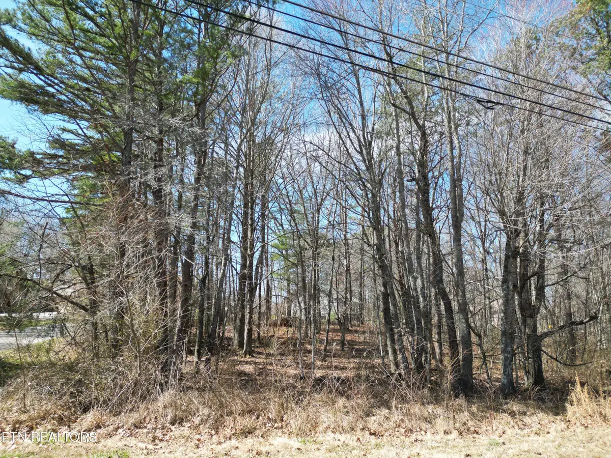 556 Westchester Drive, Crossville, TN 38558 - #1
