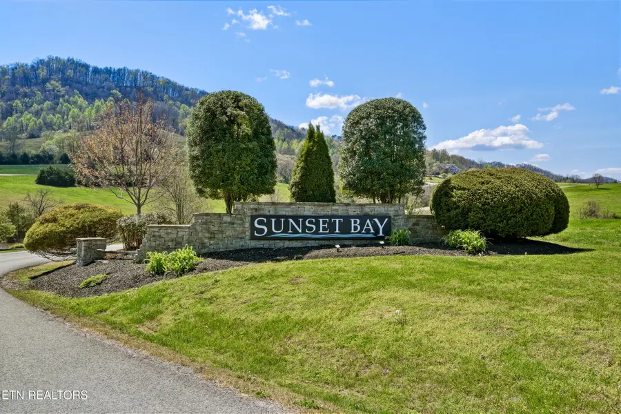 Lot 303 Cherrywood Lane, Sharps Chapel, TN 37866 - #3