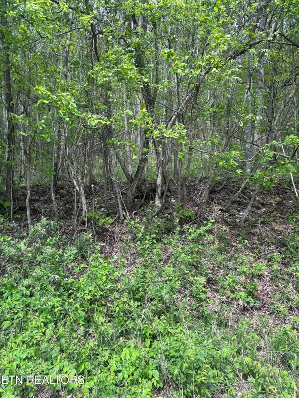 Chimney Rock Rd, New Tazewell, TN 37825