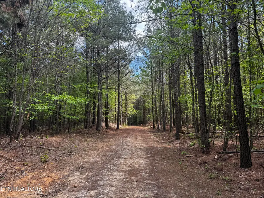 Mowbray Pike, Mowbray Mountain, TN 37379 - #2