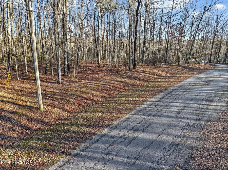 5 Clyde Place, Monterey, TN 38574 - #3