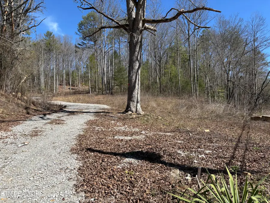 16305 E Highway 70, Rockwood, TN 37854 - #3