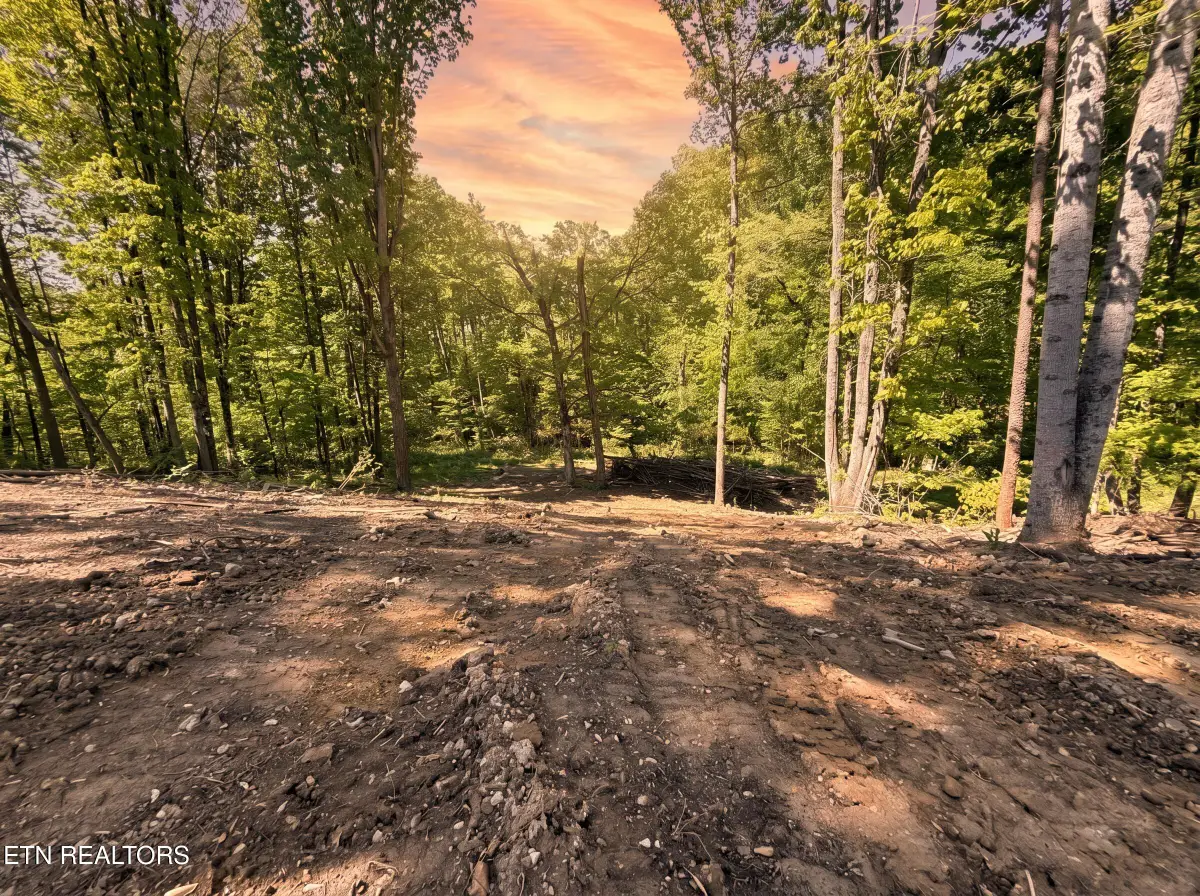 839 Josana Lane, New Market, TN 37820 - #1