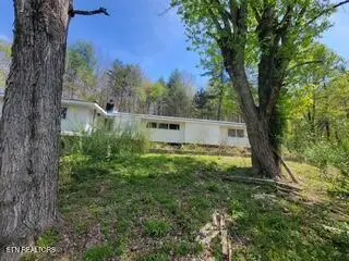 20084 Alberta St, Oneida, TN 37841 - #3