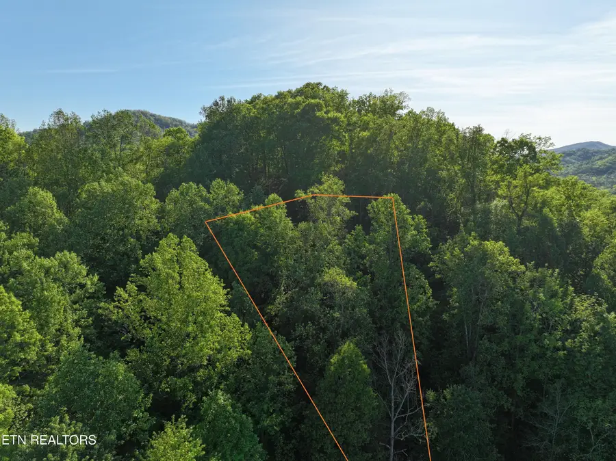 Dove View Rd #Lot 13, Sevierville, TN 37862 - #2