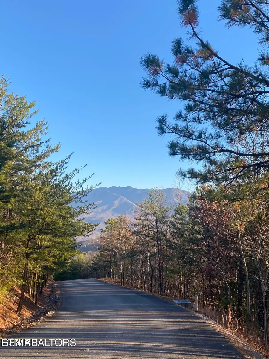 Lightning Bug Way #D 7, Gatlinburg, TN 37738 - #2