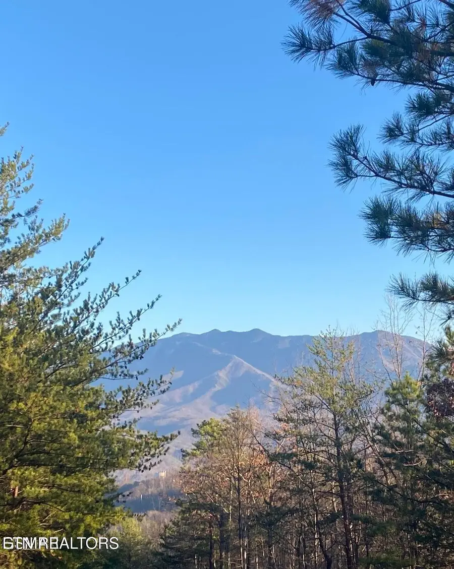 Lightning Bug Way #D 7, Gatlinburg, TN 37738 - #3