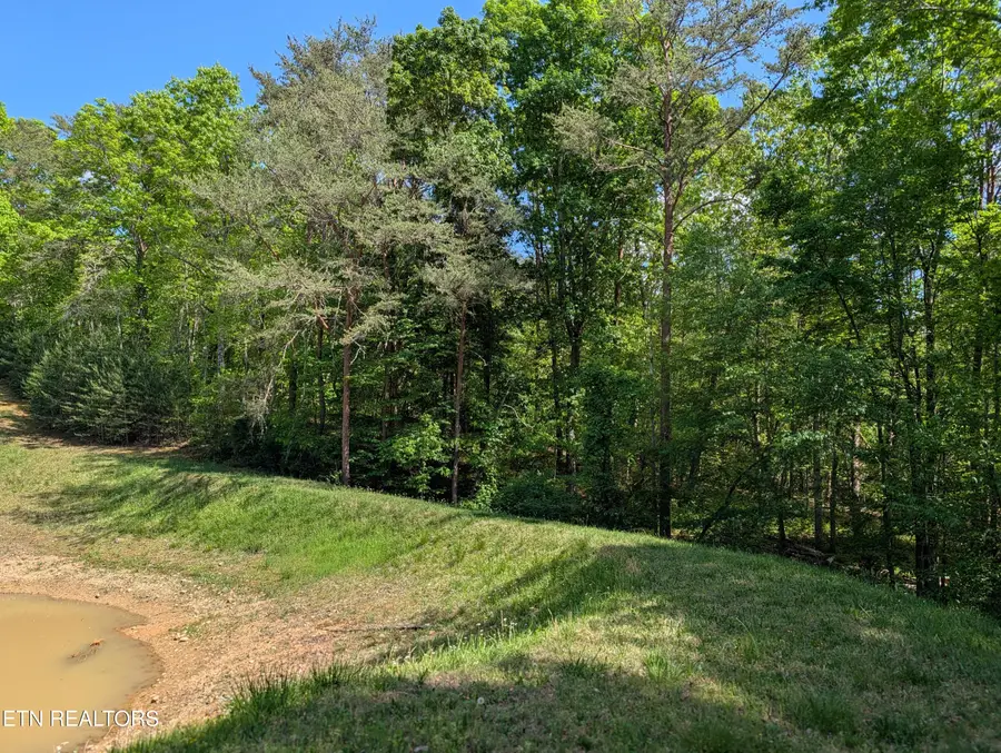 135 Garren Hart Lane, Spring City, TN 37381 - #3
