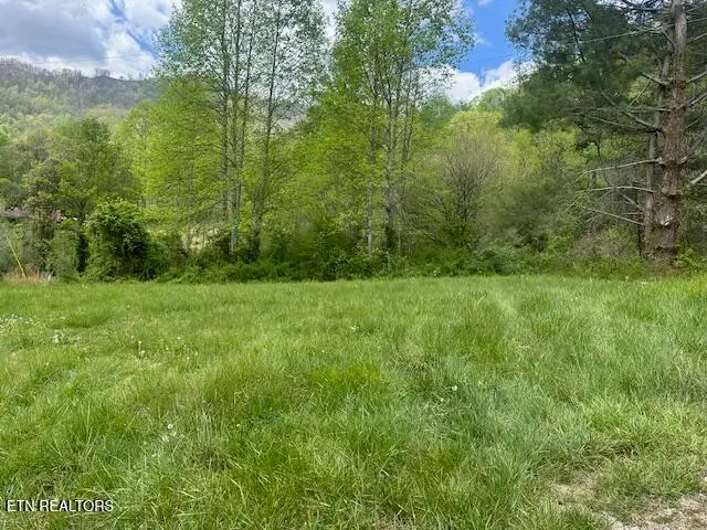 School House Rd, Lejunior, KY 40849 - #1