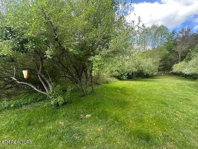 School House Rd, Lejunior, KY 40849 - #2