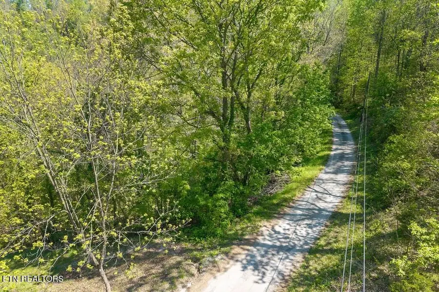 94 Austin Bottom Rd, Baxter, TN 38544 - #3