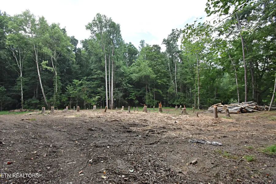 0 Early Rd #2, Knoxville, TN 37922 - #2