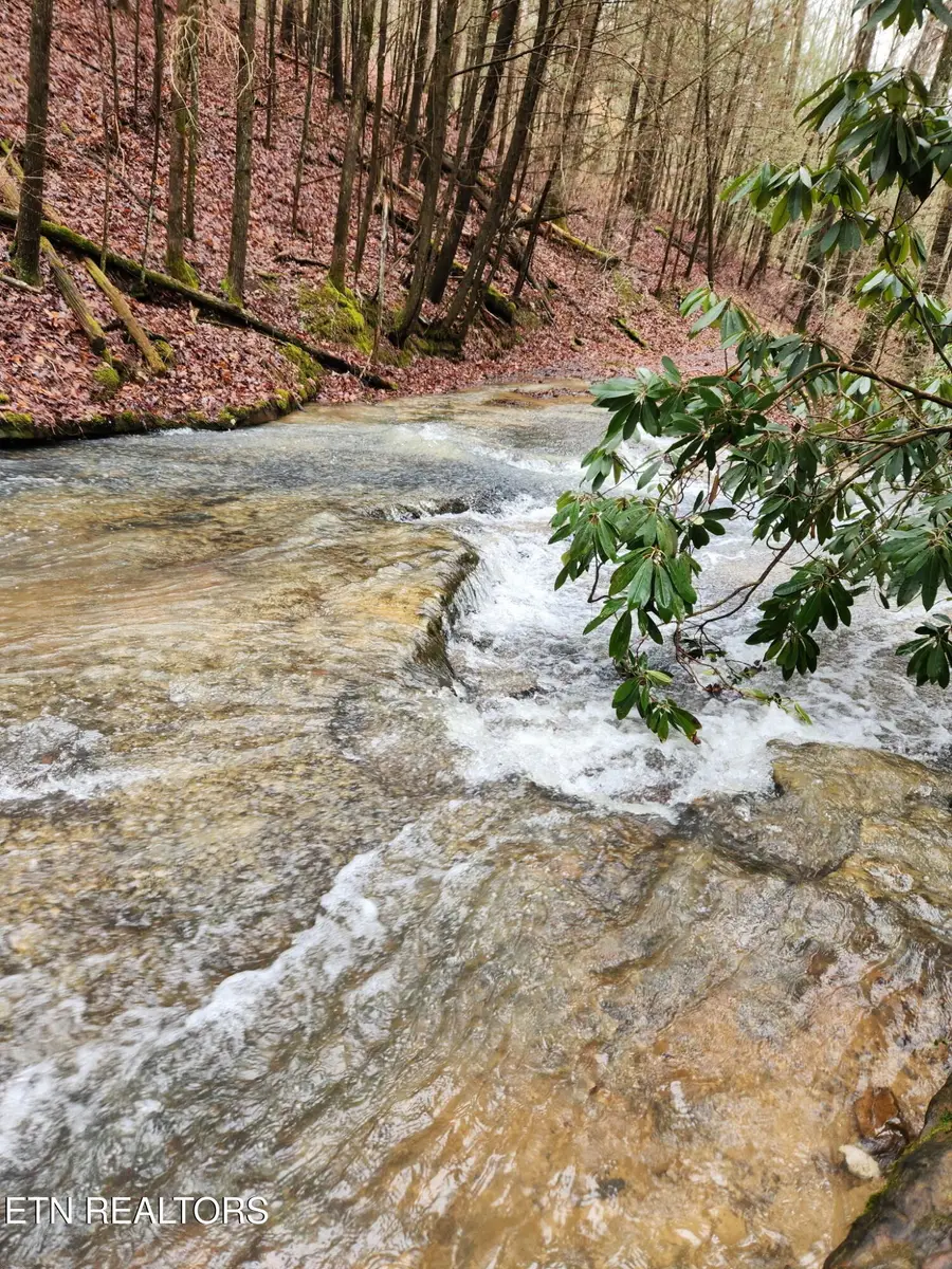 470 Bear Branch Rd, Wartburg, TN 37887 - #3