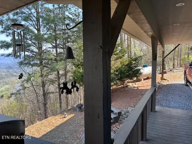 5987 Hopi Way, Del Rio, TN 37727 - #3