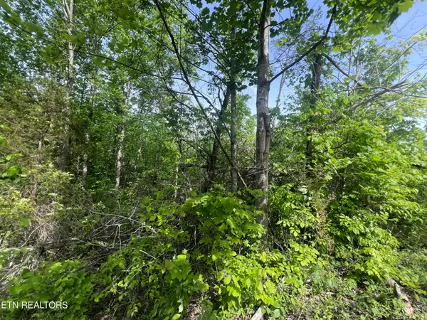 Big Hollow Rd, Monroe, TN 38573