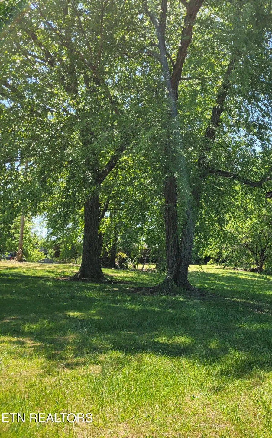 790 County Rd, Etowah, TN 37331 - #2