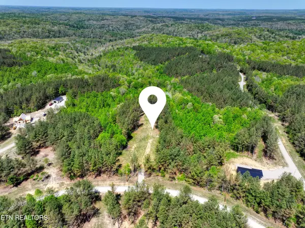 372 Stonecipher Court, Sunbright, TN 37872