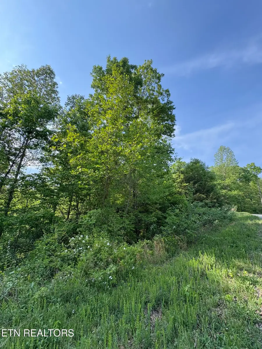 lot 29 Saddleridge Drive, Speedwell, TN 37870 - #3