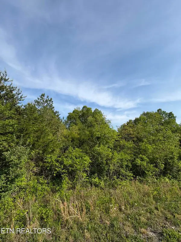 lot 60 Saddleridge Drive, Speedwell, TN 37870