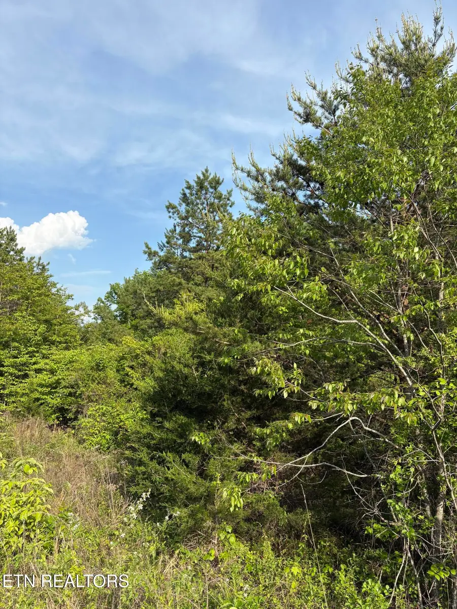 lot 60 Saddleridge Drive, Speedwell, TN 37870 - #2