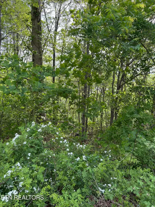 lot 168 Saddleridge Drive, Speedwell, TN 37870