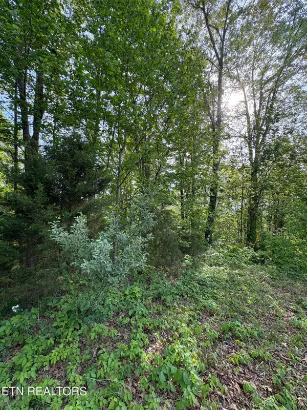 lot 169 Saddleridge Drive, Speedwell, TN 37870